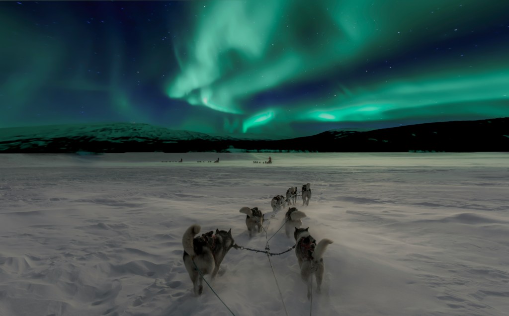 Dog sled under Aurora Borealis.